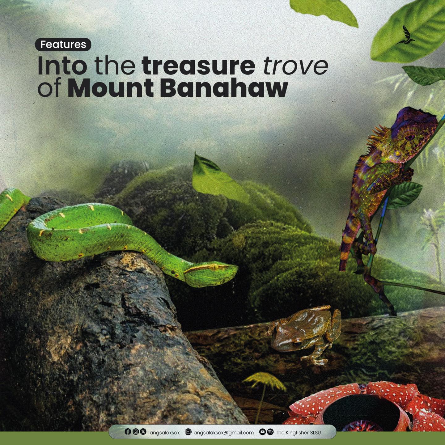 FEATURE | Into the treasure trove of Mount Banahaw